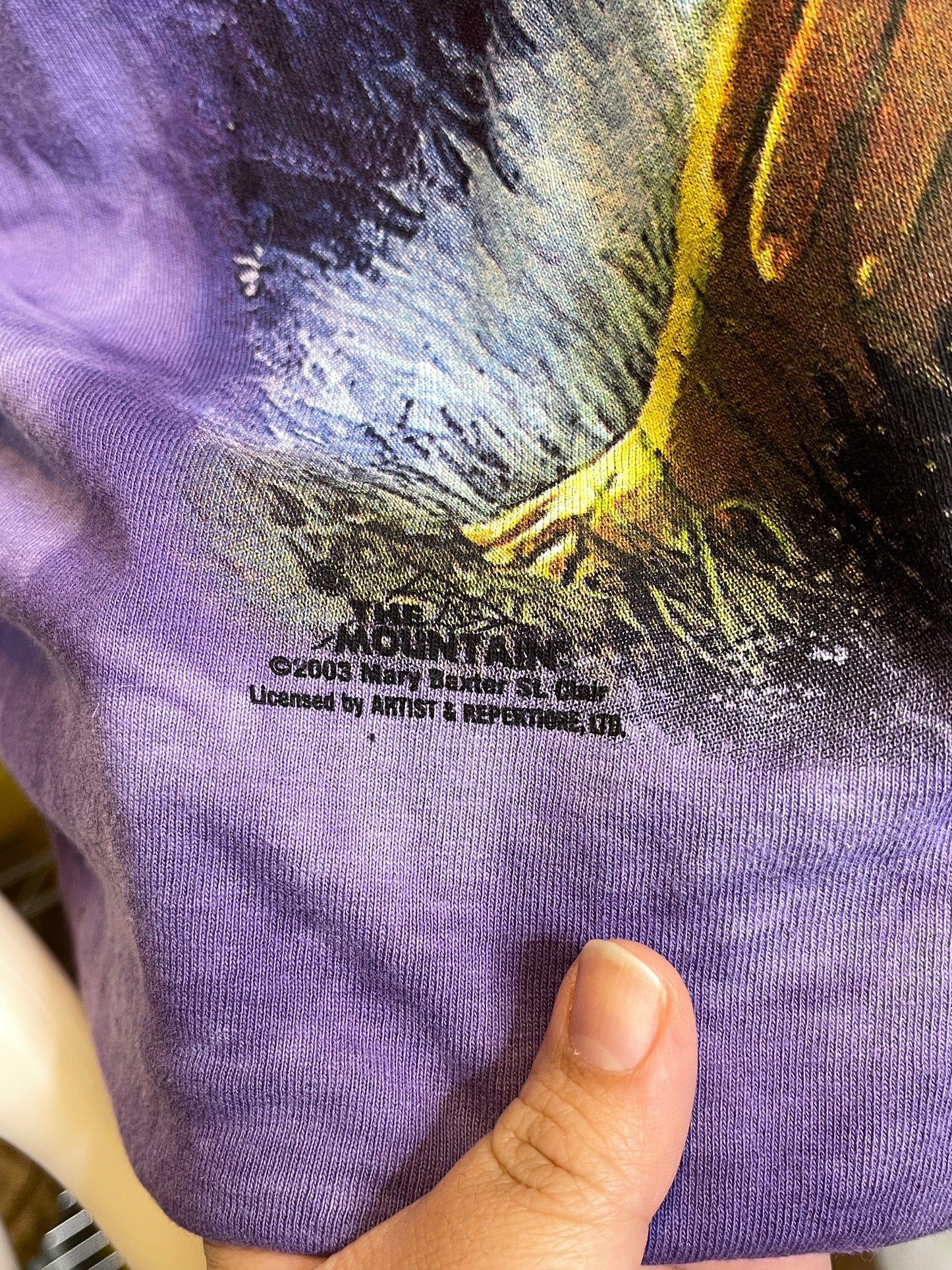 Vintage 2000s St. Clair Garden Of Dreams Purple Fairy Graphic Tee Sz XL