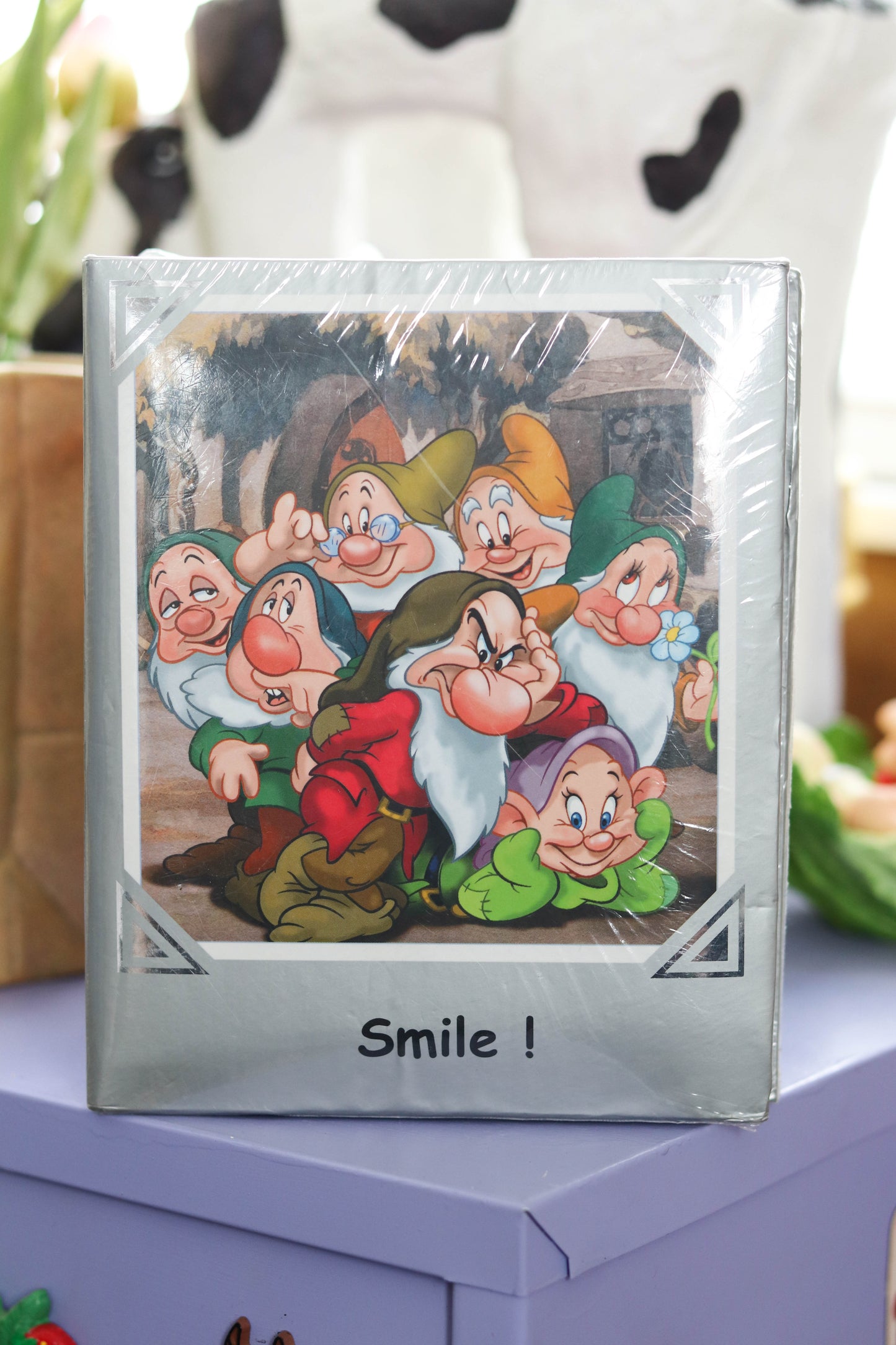 Vintage Snow White And The Seven Dwarfs Photo Album