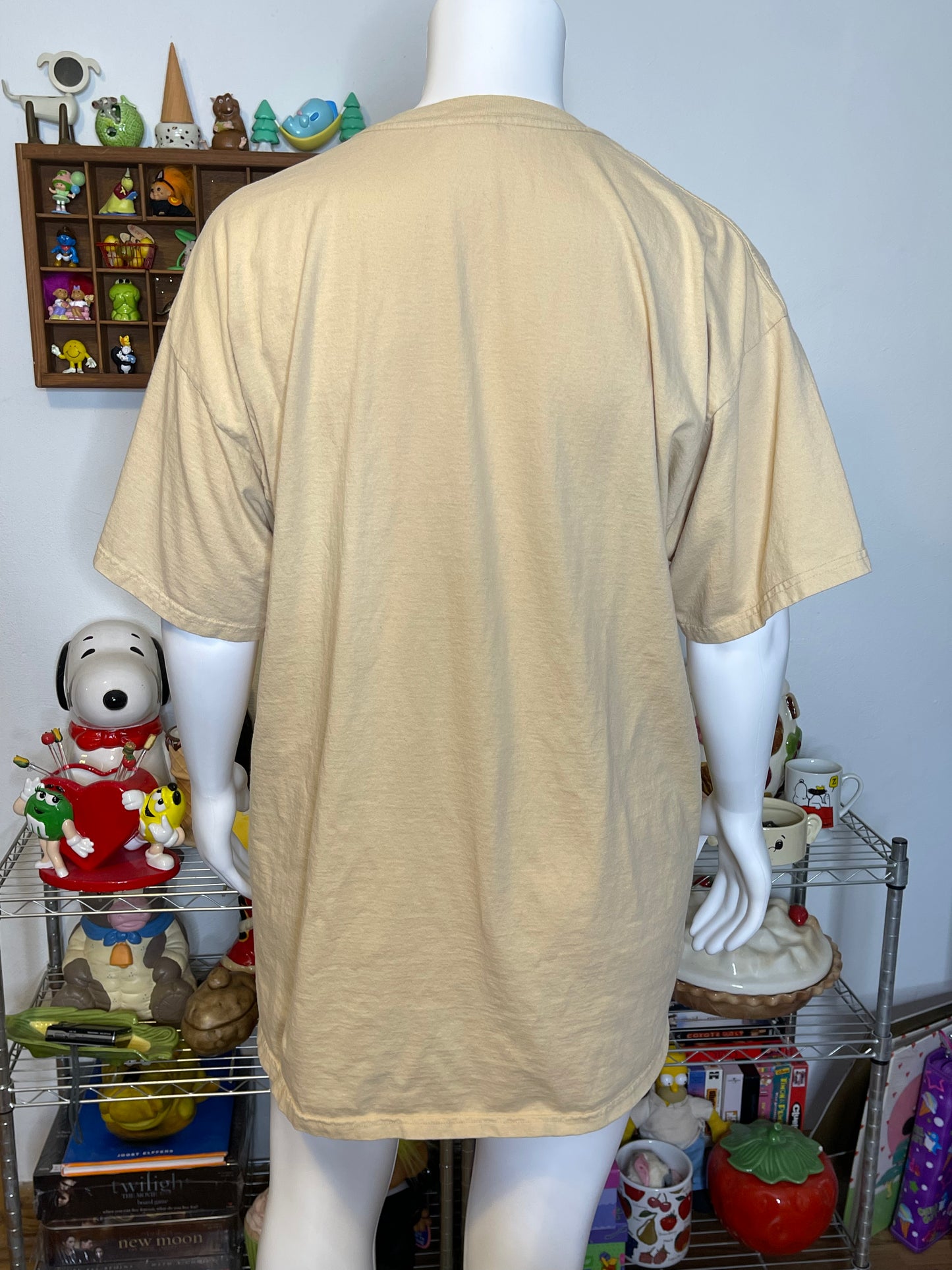 Vintage 2000s Autumn Stroll Fairy Graphic Tee Sz XXL