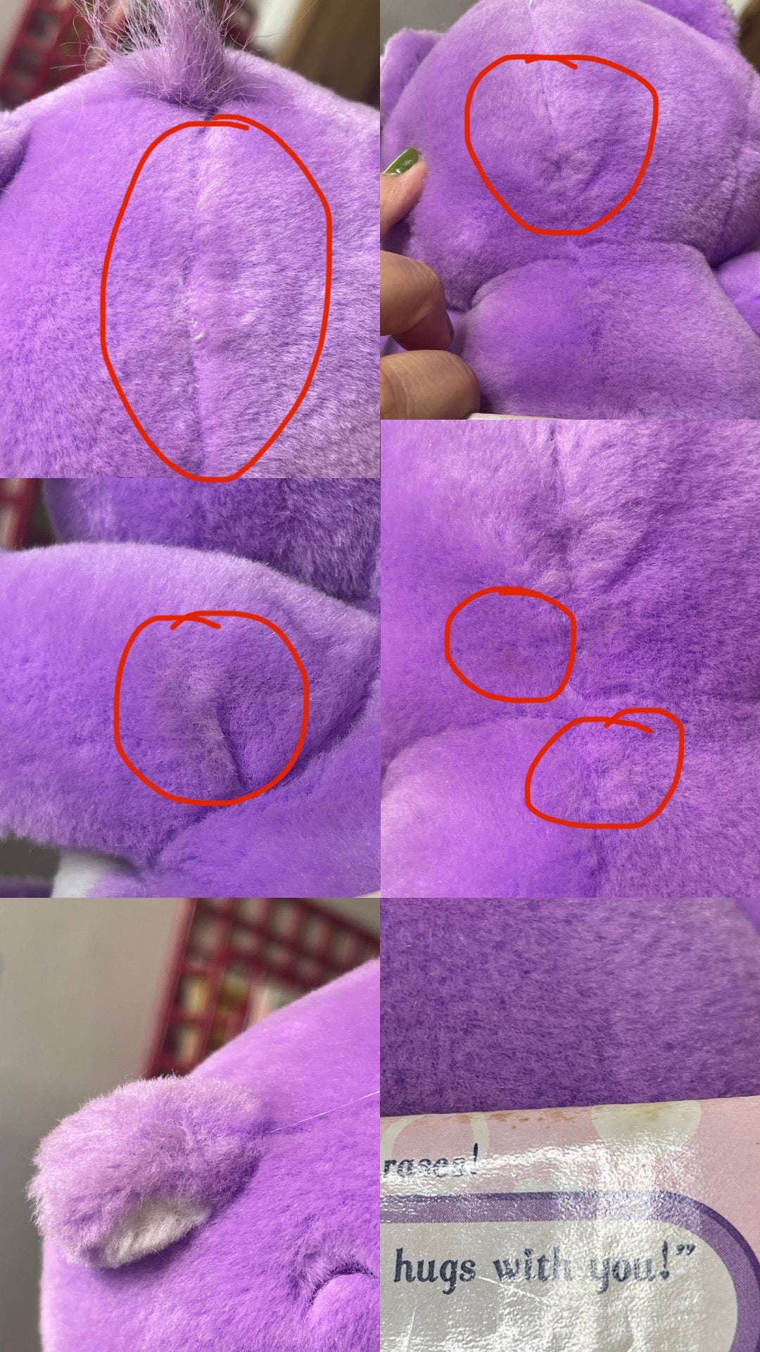 2000's Care Bears Huggers Share Bear Plush